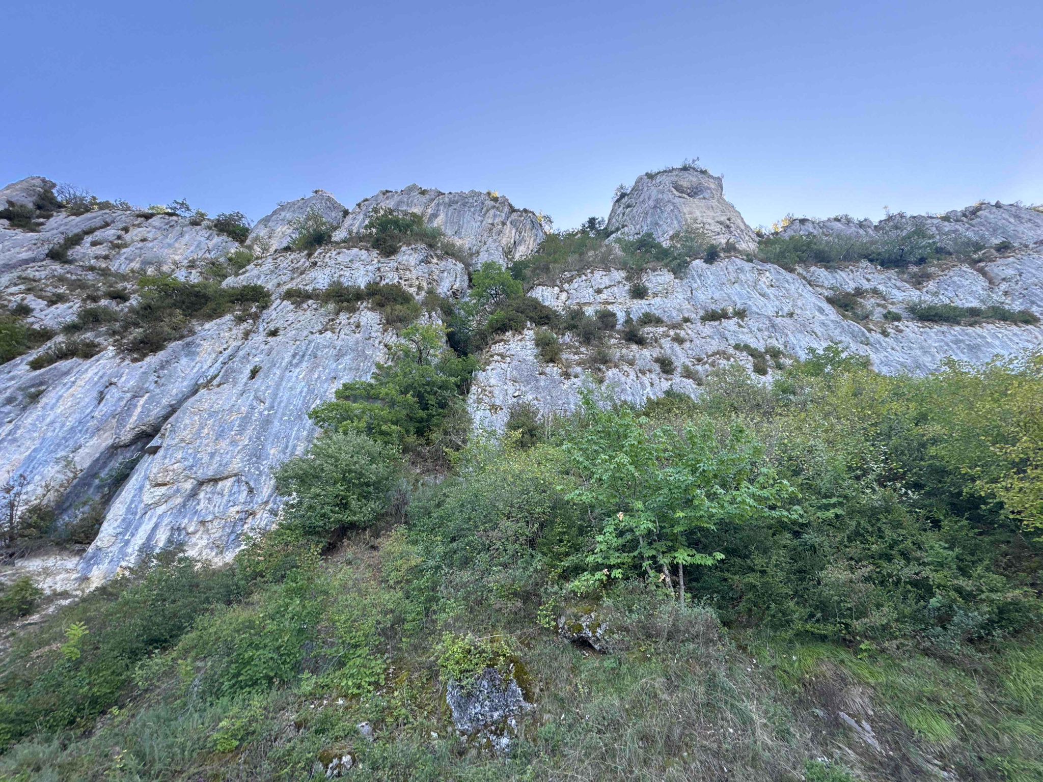 Image 36
